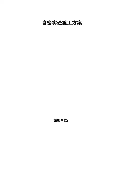 自密实砼施工方案
