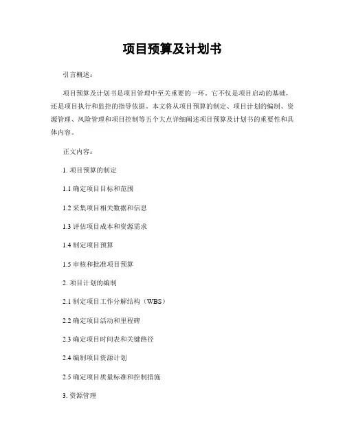 项目预算及计划书