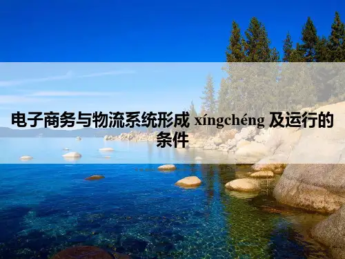 电子商务与物流系统形成及运行的条件