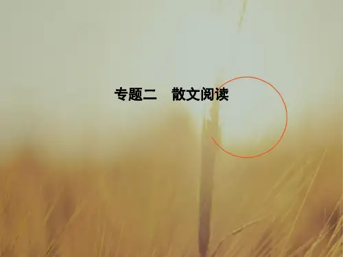 2018届高考语文二轮复习全国通用课件 第一部分 现代文阅读三 专题二