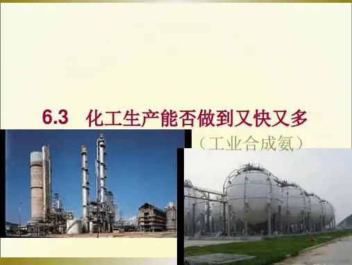沪科版高中化学高一下册 63 化工生产能否做到又快又多 工业合成氨 课件 共21张1