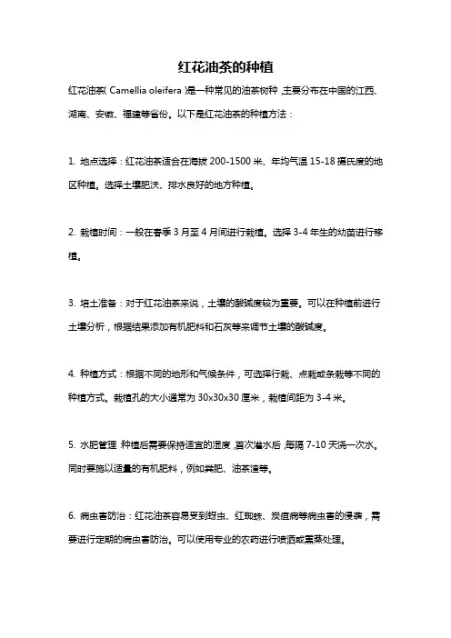 红花油茶的种植