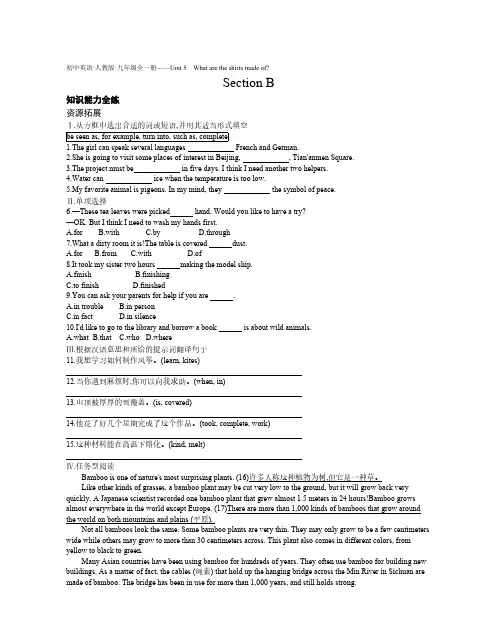 2020年人教版九年级英语全一册练习题  Unit 5 Section B