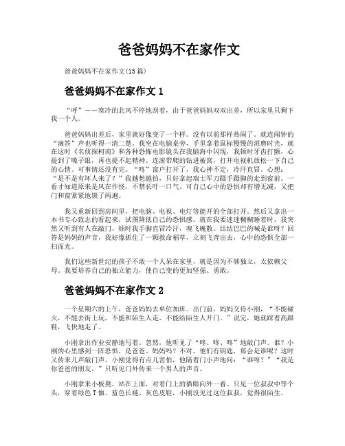 爸爸妈妈不在家作文 2