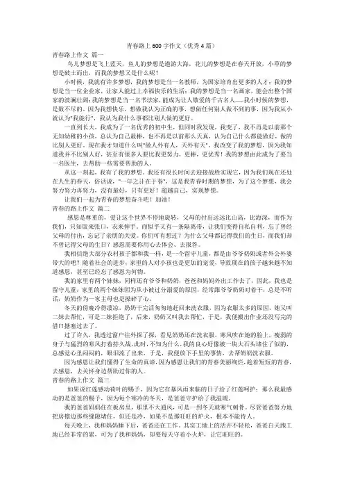 青春路上600字作文(优秀4篇)