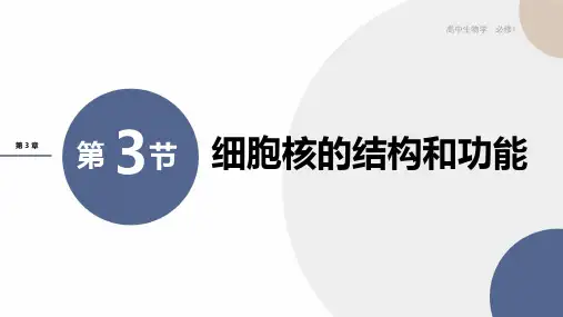 新人教版必修1第3章第3节细胞核的结构和功能课件(32张)