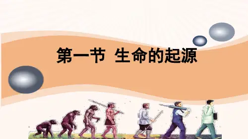 北师大版生物八下21.1《生命的起源》课件(共27张PPT)