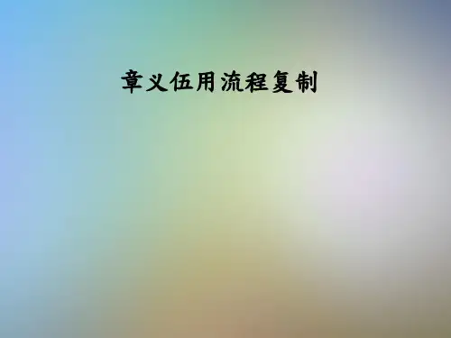 章义伍用流程复制