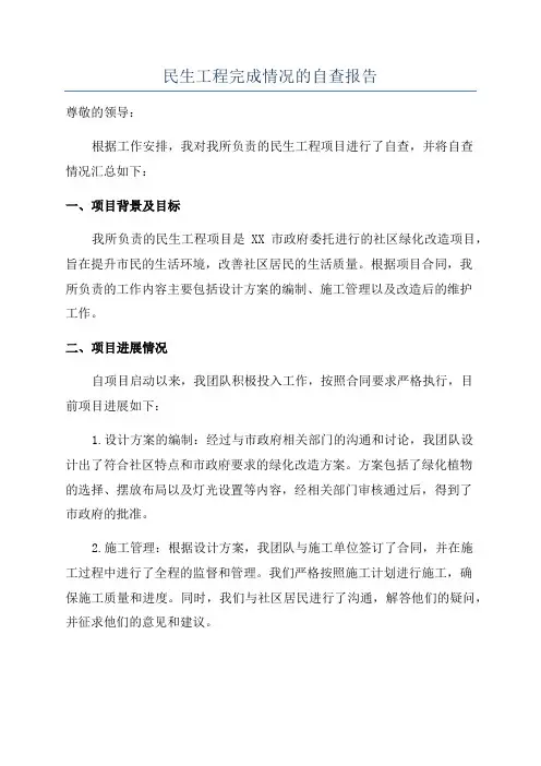 民生工程完成情况的自查报告