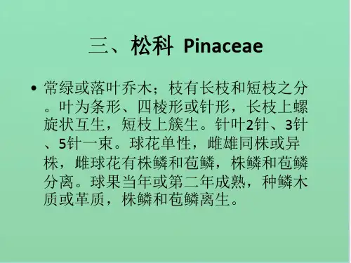 常绿或落叶乔木