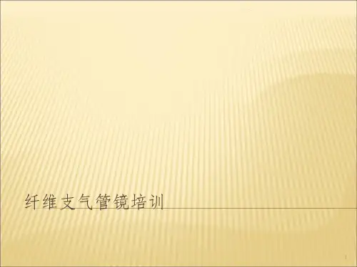 支气管镜培训ppt课件
