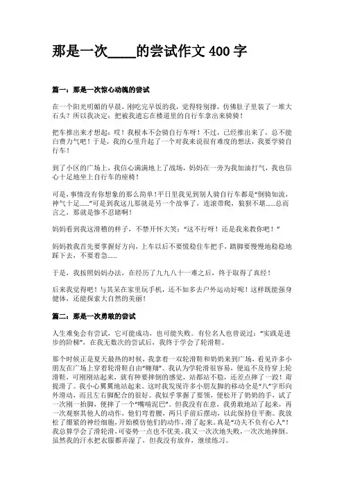 那是一次____的尝试作文400字