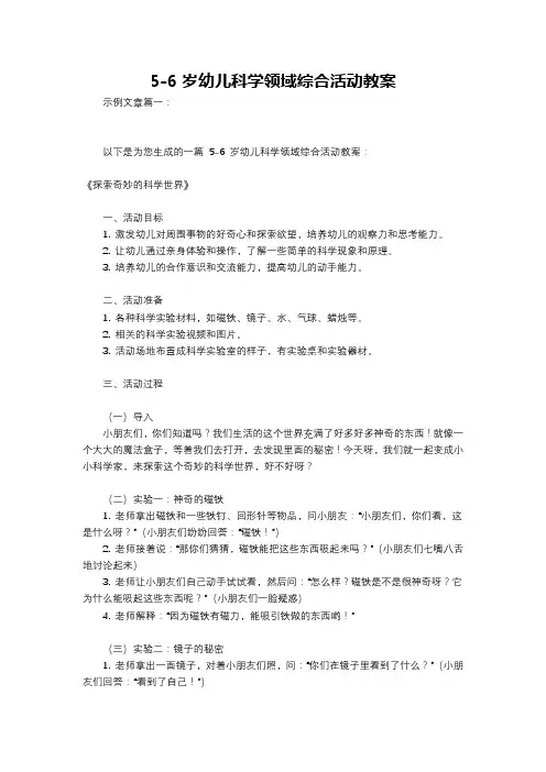5-6岁幼儿科学领域综合活动教案