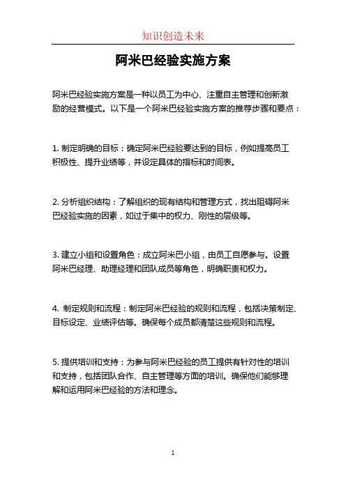 阿米巴经验实施方案