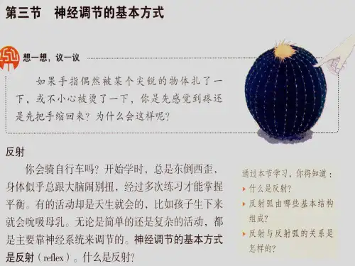七年级生物下册4.6.3神经调节的基本方式课件1 新人教版
