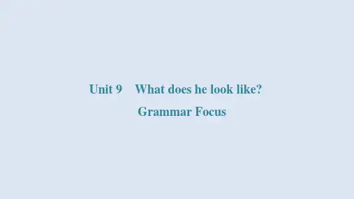 Unit+9 Grammar+Focus 人教版英语七年级下册
