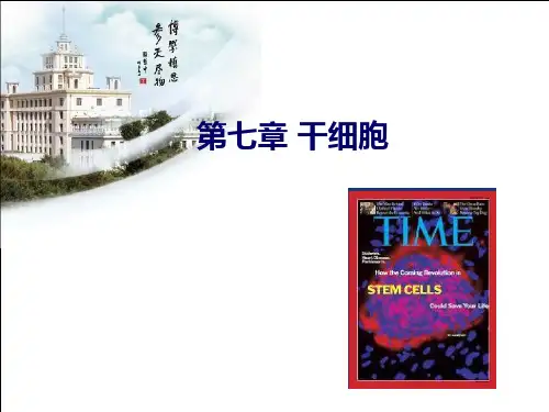 细胞工程第七章