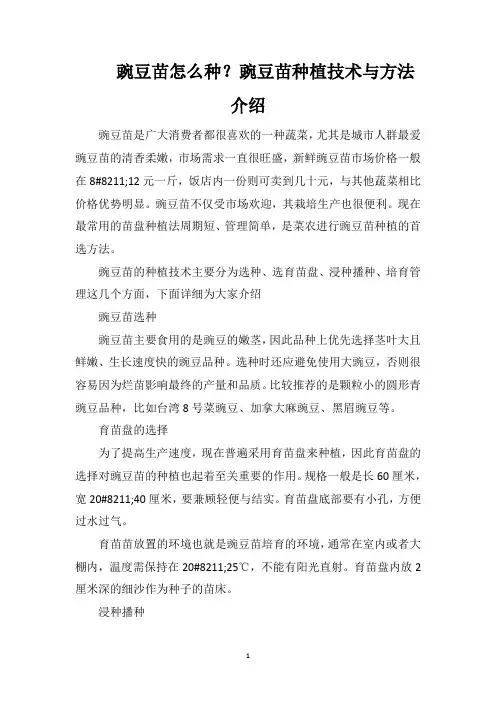 豌豆苗怎么种？豌豆苗种植技术与方法介绍