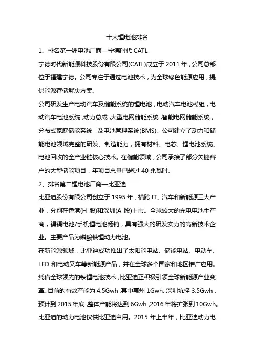 十大锂电池排名