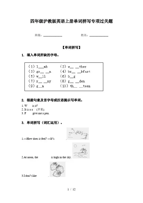 四年级沪教版英语上册单词拼写专项过关题