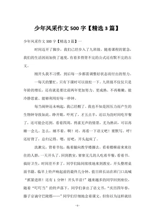 少年风采作文500字【3篇】