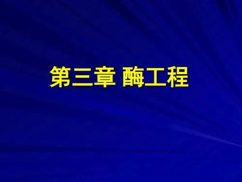 酶工程1中国药科大学生物工程所有课件