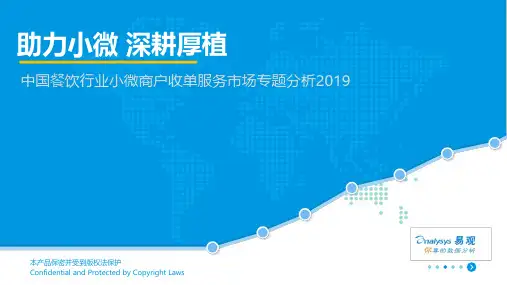 2019中国餐饮行业小微商户收单服务市场专题分析