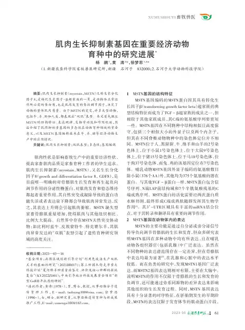 肌肉生长抑制素基因在重要经济动物育种中的研究进展