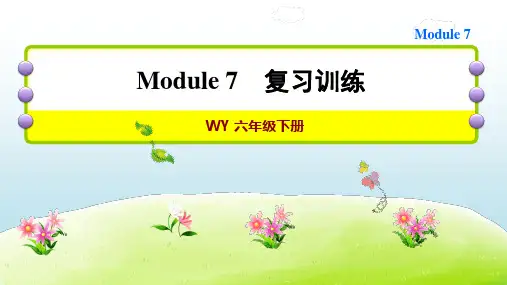 六年级下册英语习题课件   Module7复习训练    外研版(共15张PPT)