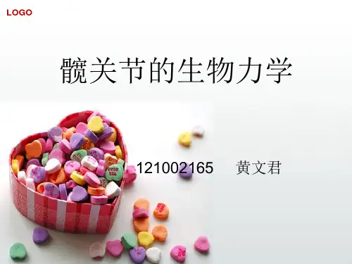 髋关节生物力学