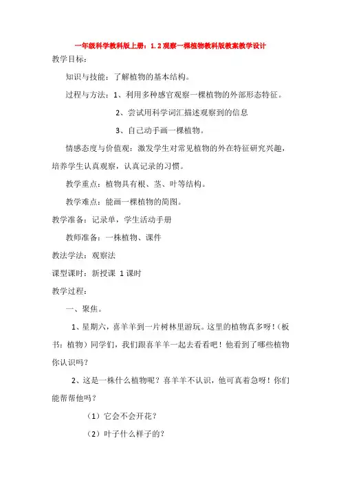 一年级科学教科版上册：1.2观察一棵植物教科版教案教学设计