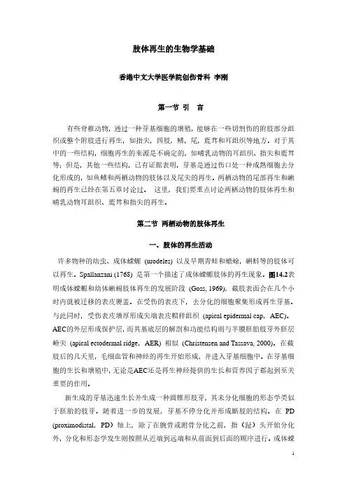 肢体再生的生物学基础
