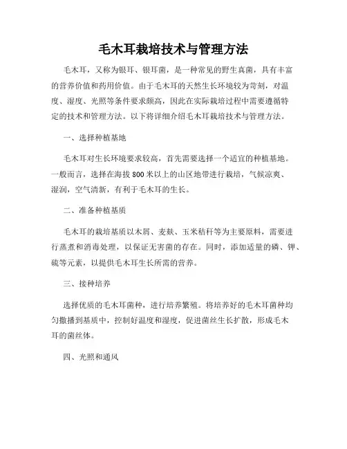 毛木耳栽培技术与管理方法