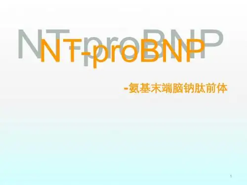 全自动化学发光免疫分析仪运行原理ppt课件