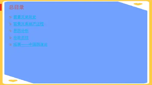 【正式版】雷曼兄弟的破产PPT文档