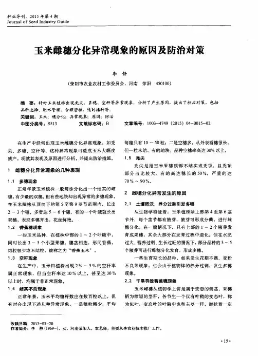 玉米雌穗分化异常现象的原因及防治对策