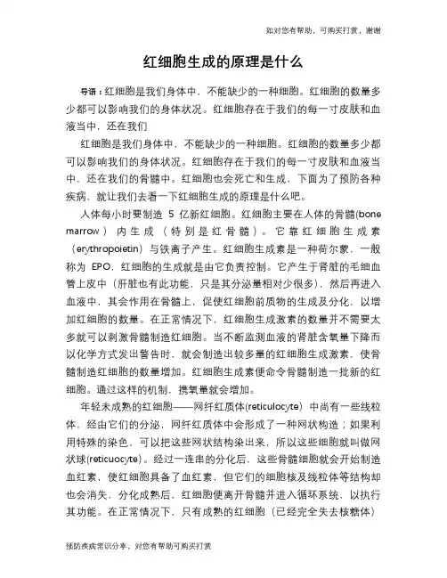 红细胞生成的原理是什么