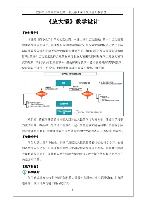 教科版六上《放大镜》教学设计