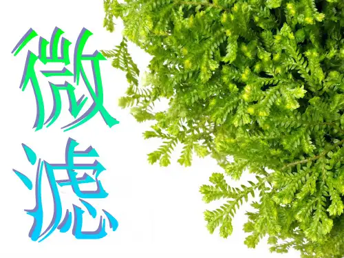 微滤在水处理的应用..
