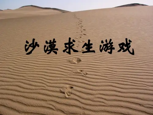 沙漠求生游戏精品PPT课件