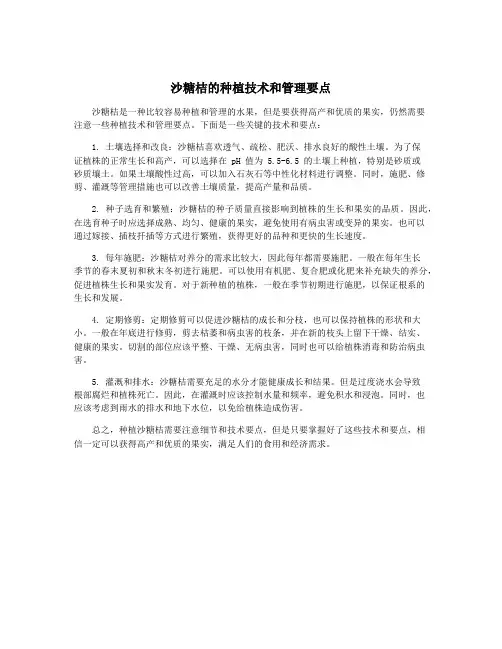 沙糖桔的种植技术和管理要点