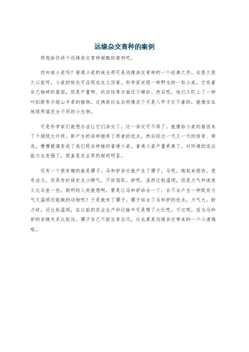 远缘杂交育种的案例
