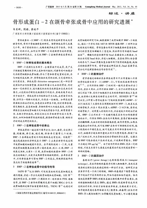 骨形成蛋白-2在颌骨牵张成骨中应用的研究进展