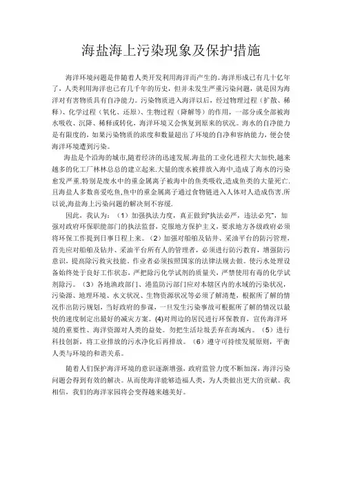 高中生研究性小论文：海盐海上污染现象及保护措施