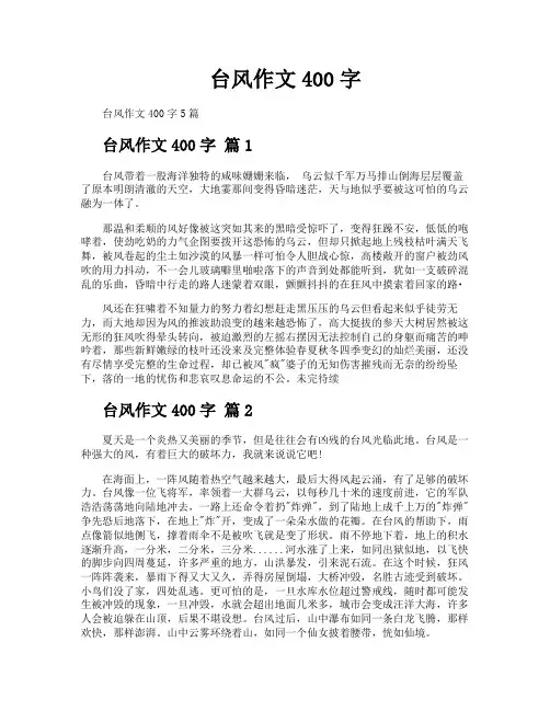 台风作文400字