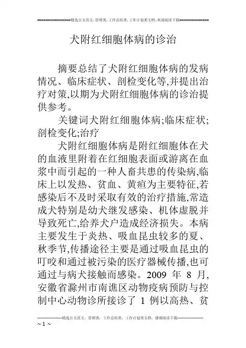 犬附红细胞体病的诊治