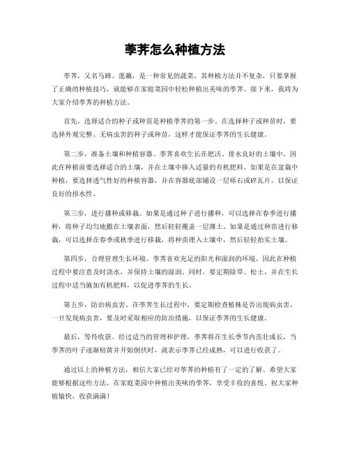 荸荠怎么种植方法