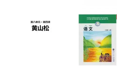 六年级上册语文课件-8.4黄山松｜北师大版(共15张PPT)
