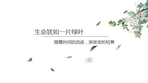 动态绿叶绿植清新温馨简约通用PPT模板