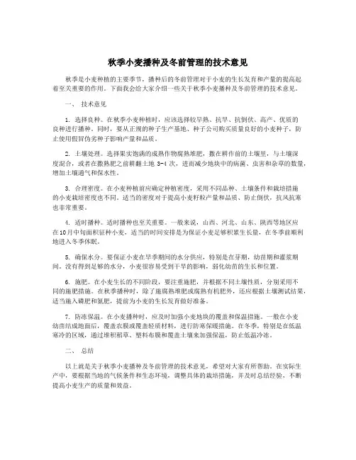 秋季小麦播种及冬前管理的技术意见